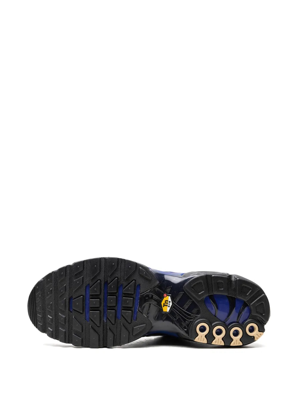 Nike Air Max Plus Black Sneakers